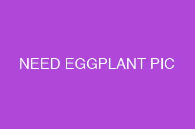 eggplant-fpo-400x266